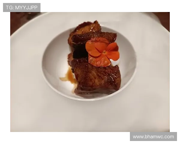 PA视讯中心全面介绍：最新功能与操作指南帮助玩家轻松上手